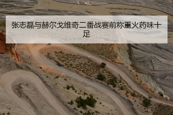 张志磊与赫尔戈维奇二番战赛前称重火药味十足